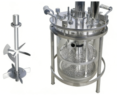 Reactor de vidrio para células de mamíferos de 3 l/10 l