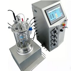 Tanque de fermentación de vidrio para esterilización externa de 1L/5L/10L