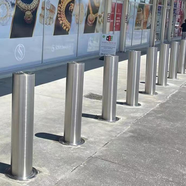 316 Stainless Steel Fixed Bollard