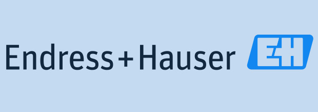 Endress+Hauser E+H
