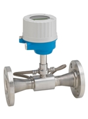 Endress+Hauser Prosonic Flow E 100 | Ultrasonic Meter for Condensate & Demin Water