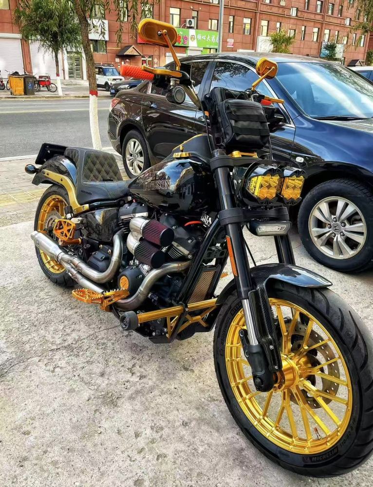 DUAL BAJA LP4  Lowrider S Memphis Road Warrior Fairing Bracket