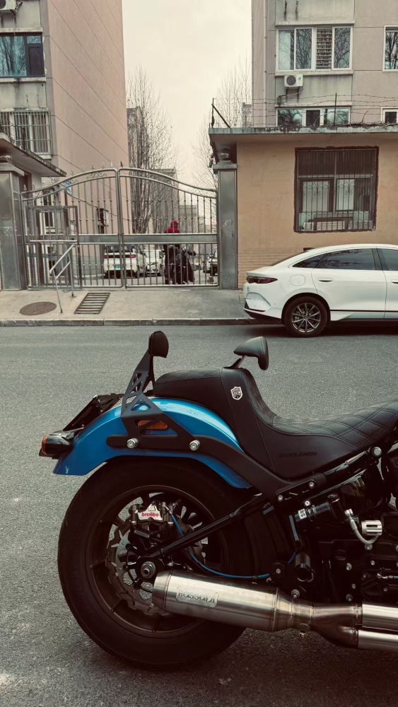 Mechanic X Style Backrest Softail