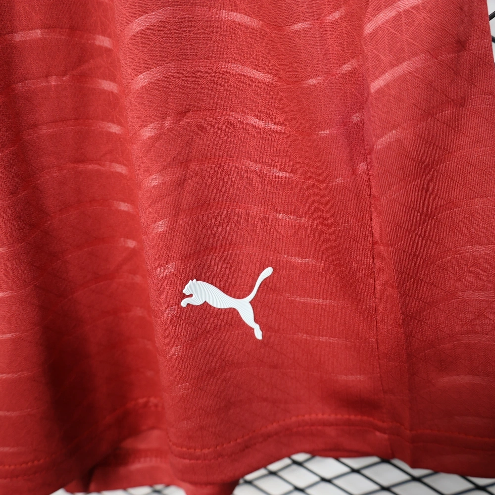 2026 Portugal World Cup Home Soccer shorts Fan/Player version