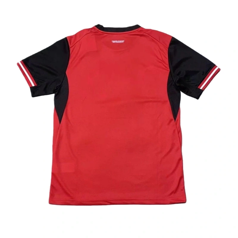 2026 Austria World cup Home Football jersey Fan version