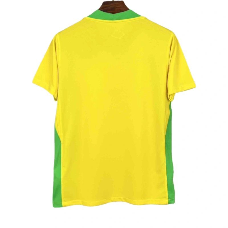 2025 Brazil Home Women Football jersey Fan edition
