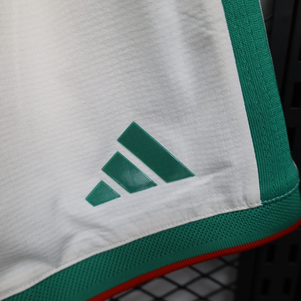 2026 Algeria World Cup Home Soccer shorts Fan/Player version