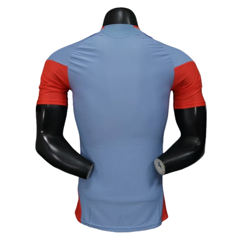 Japan 2025-26 World Cup Away Football jersey Player version