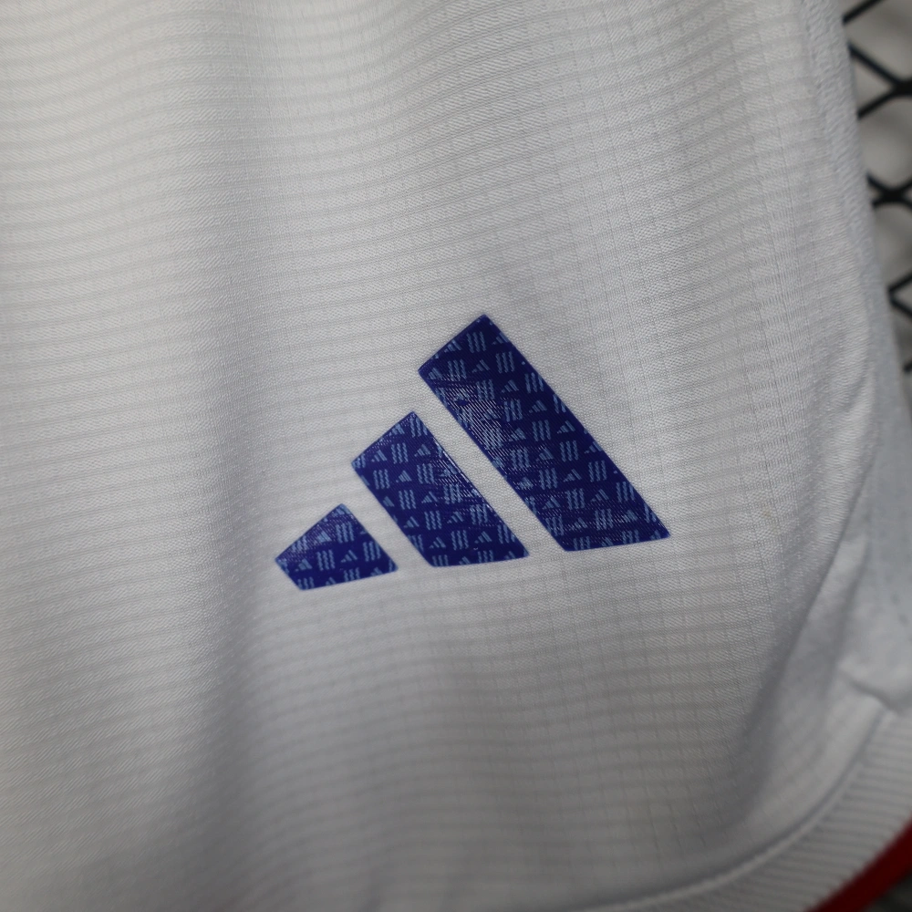 2026 Japan World Cup Home Soccer shorts Fan/Player version