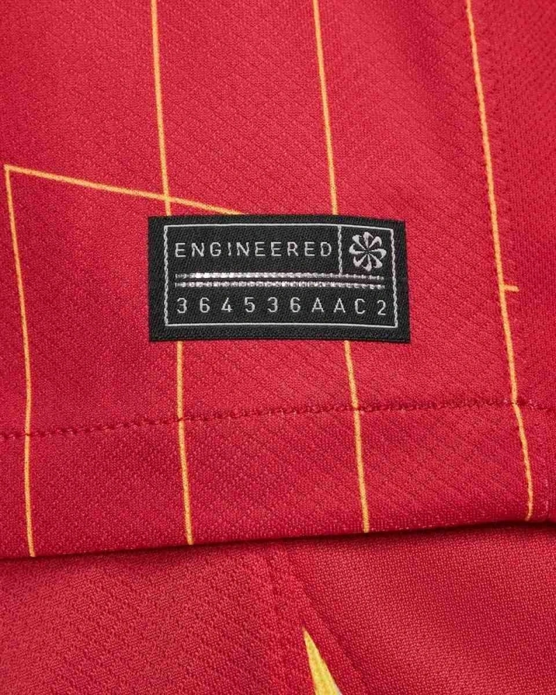 4-25 Liverpool Premier League Champions League Home Fan Edition Football Shirt