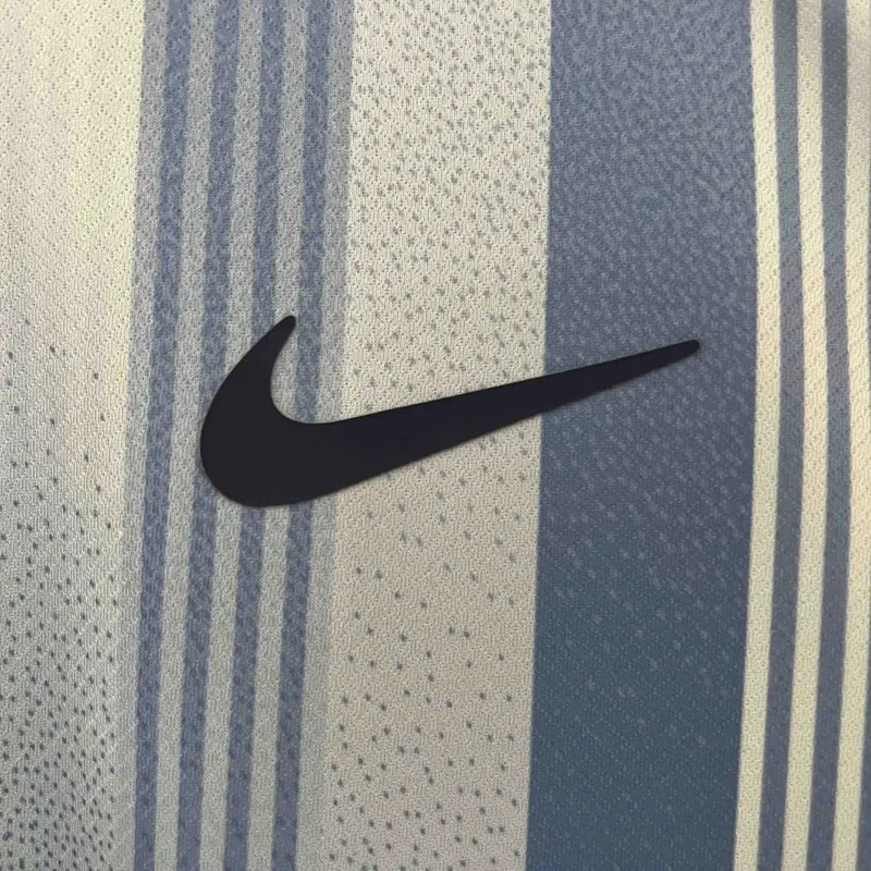 24-25 Tottenham Hotspur Away Soccer Jersey