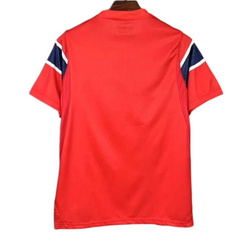 2026 World Cup Norway Home Football jersey Fan edition