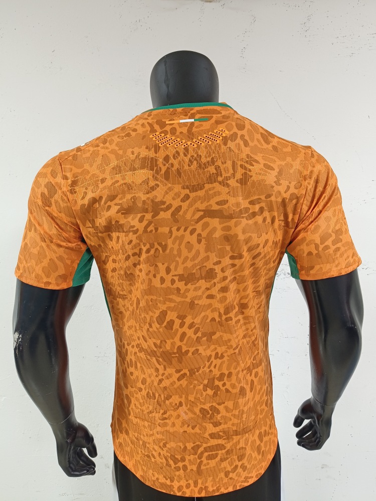 2026 Ivory Coast home field