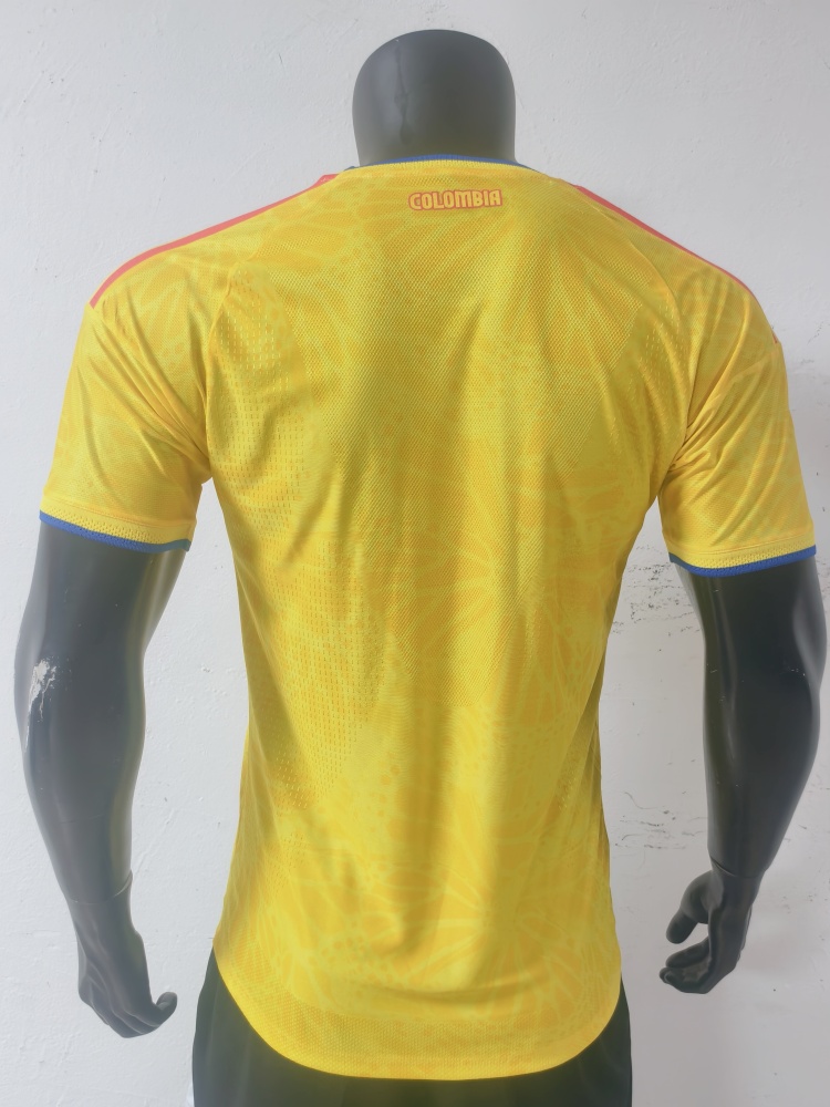 2026 Colombia home field