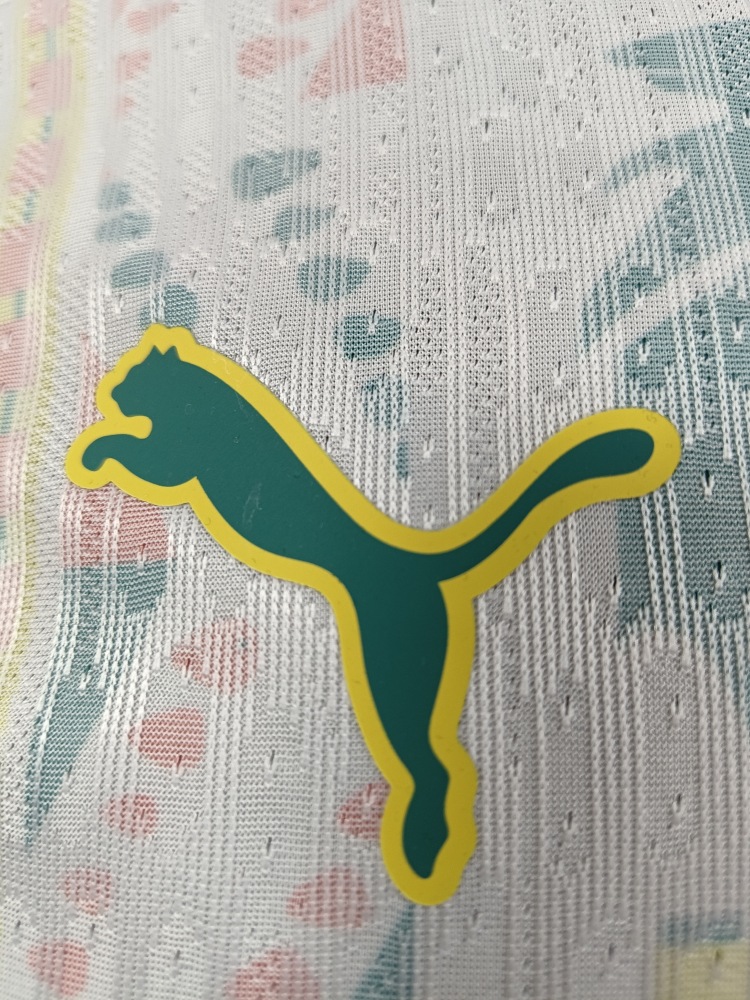 2026 Senegal home field