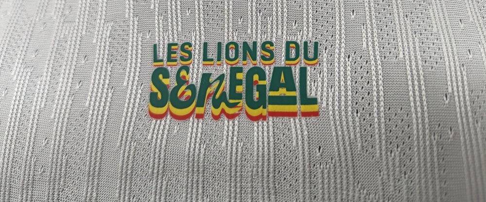 2026 Senegal home field