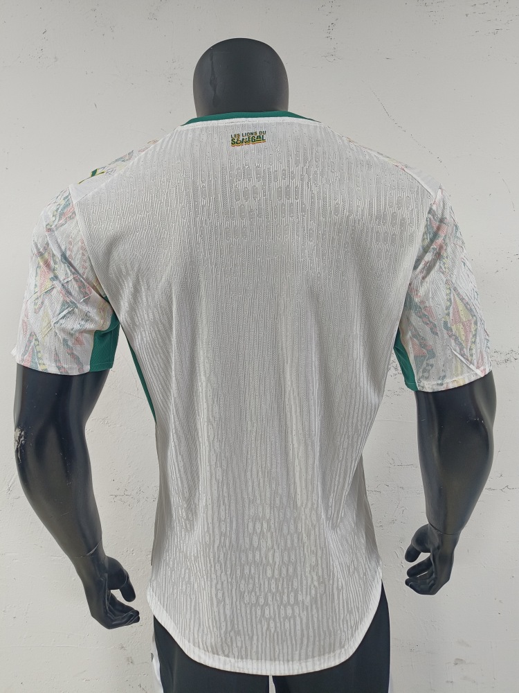 2026 Senegal home field