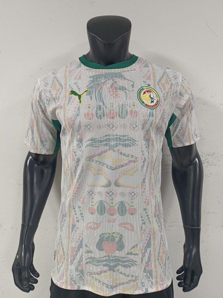2026 Senegal home field