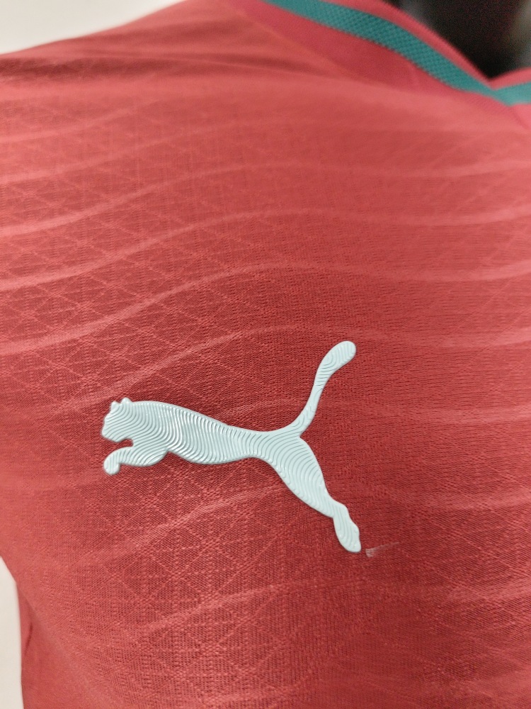 2026 Portugal home field