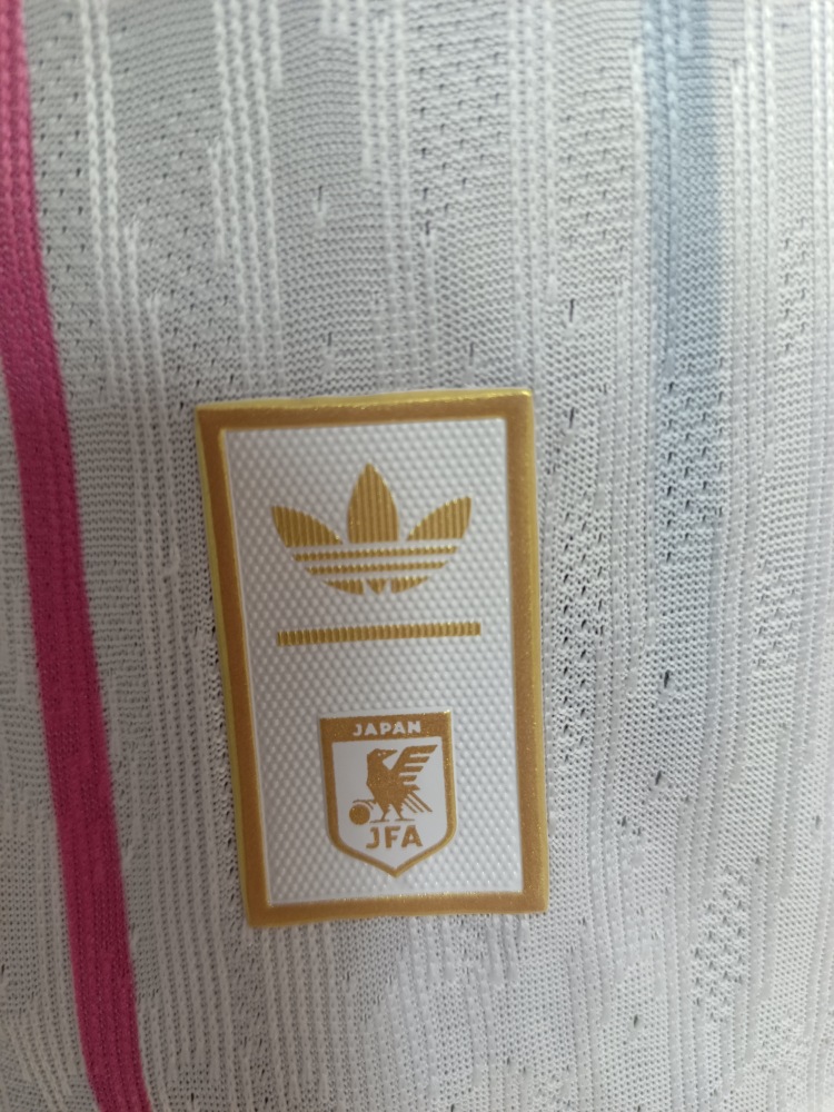 2026 Japan away game