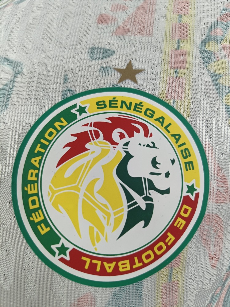 2026 Senegal home field
