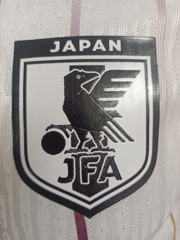 2026 Japan away game