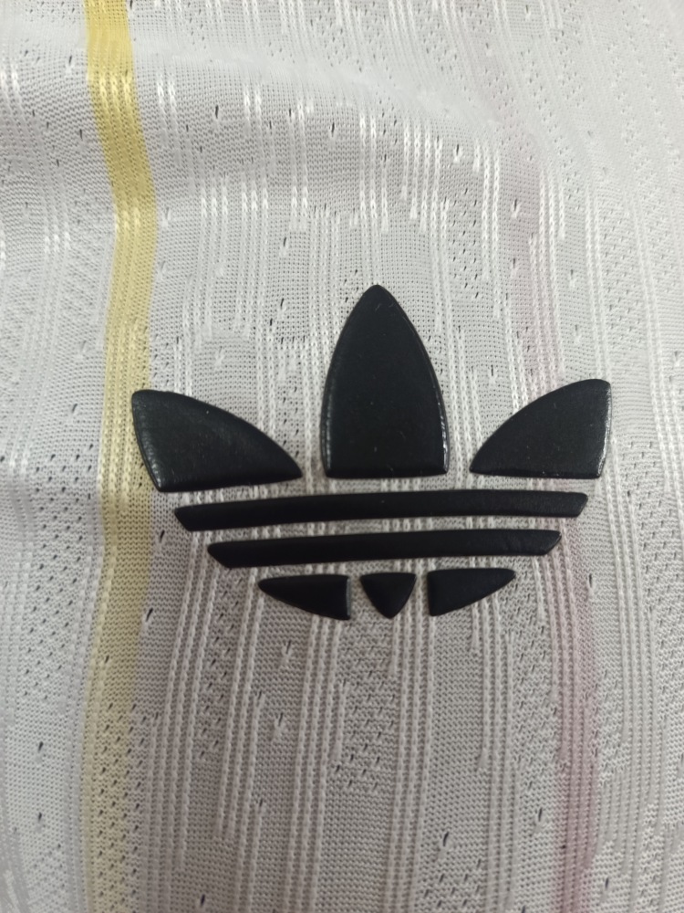 2026 Japan away game