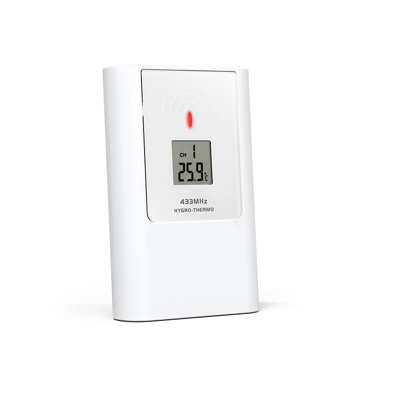 RC Weather Station with weather forecast