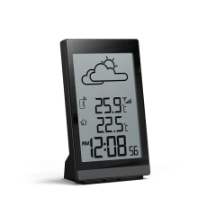 RC Weather Station with weather forecast