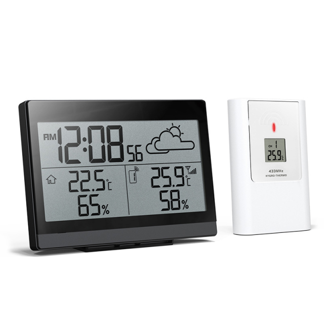 RC Weather Station with weather forecast