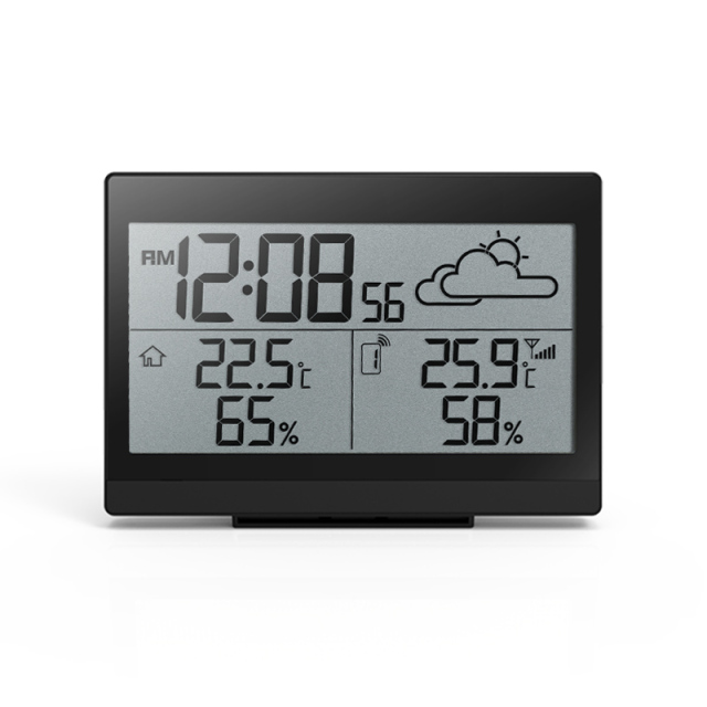 RC Weather Station with weather forecast
