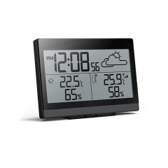 RC Weather Station with weather forecast