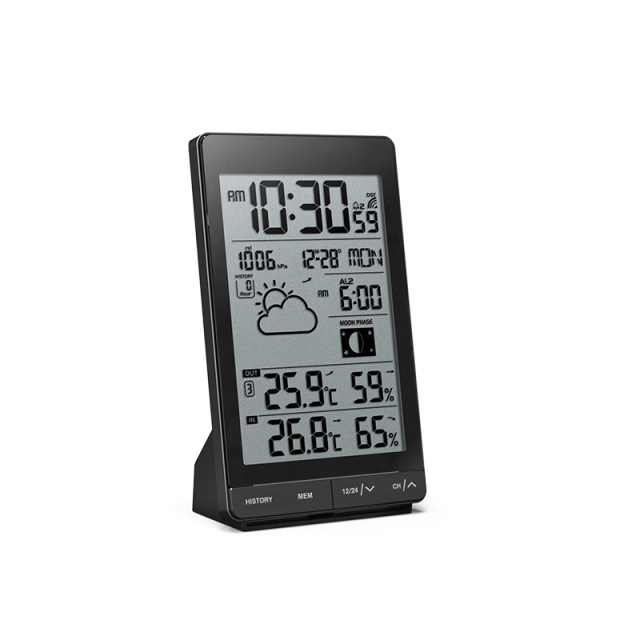 RC Weather Station with weather forecast