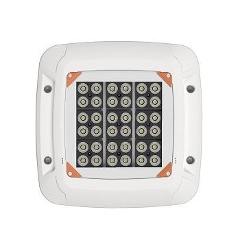 50W 100W LED Canopy Lights