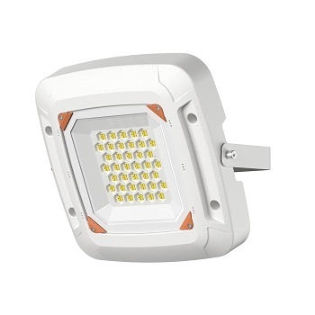 50W 100W LED Canopy Lights