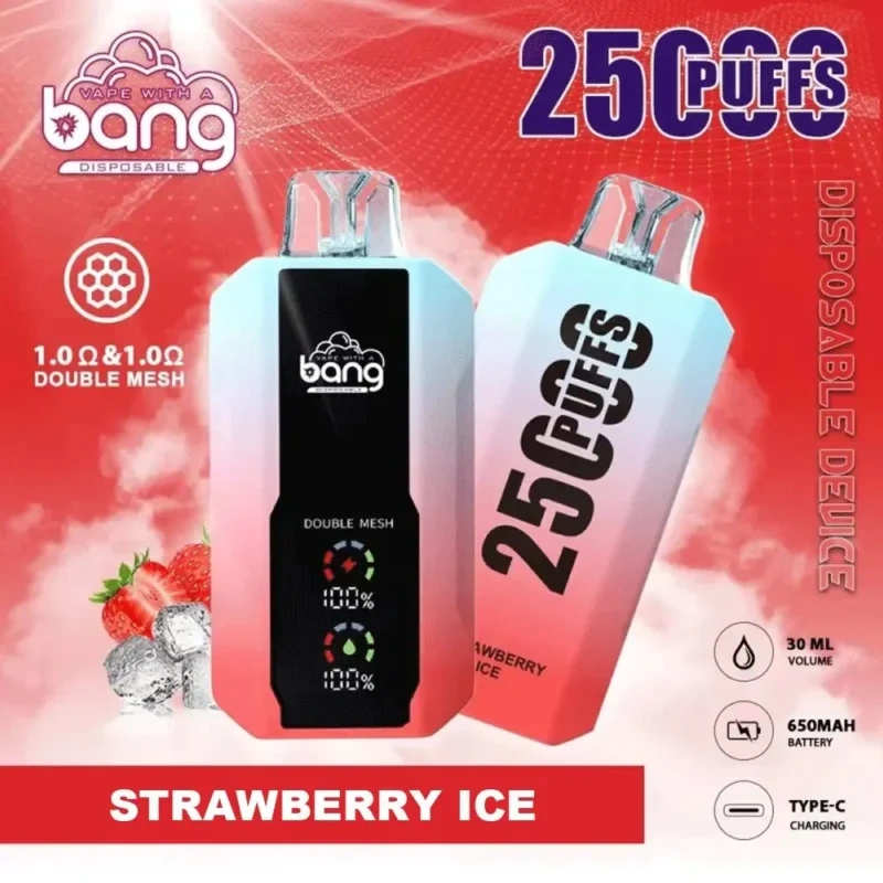 Puff 25k Bang 25000 Puffs Disposable Vape LED Display