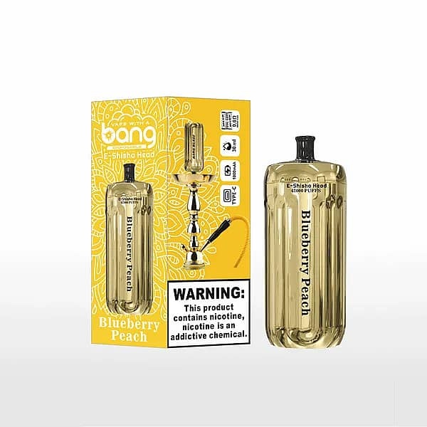 Bang Blaze 42000 Puffs 42K E-Shisha Head Disposable Vape