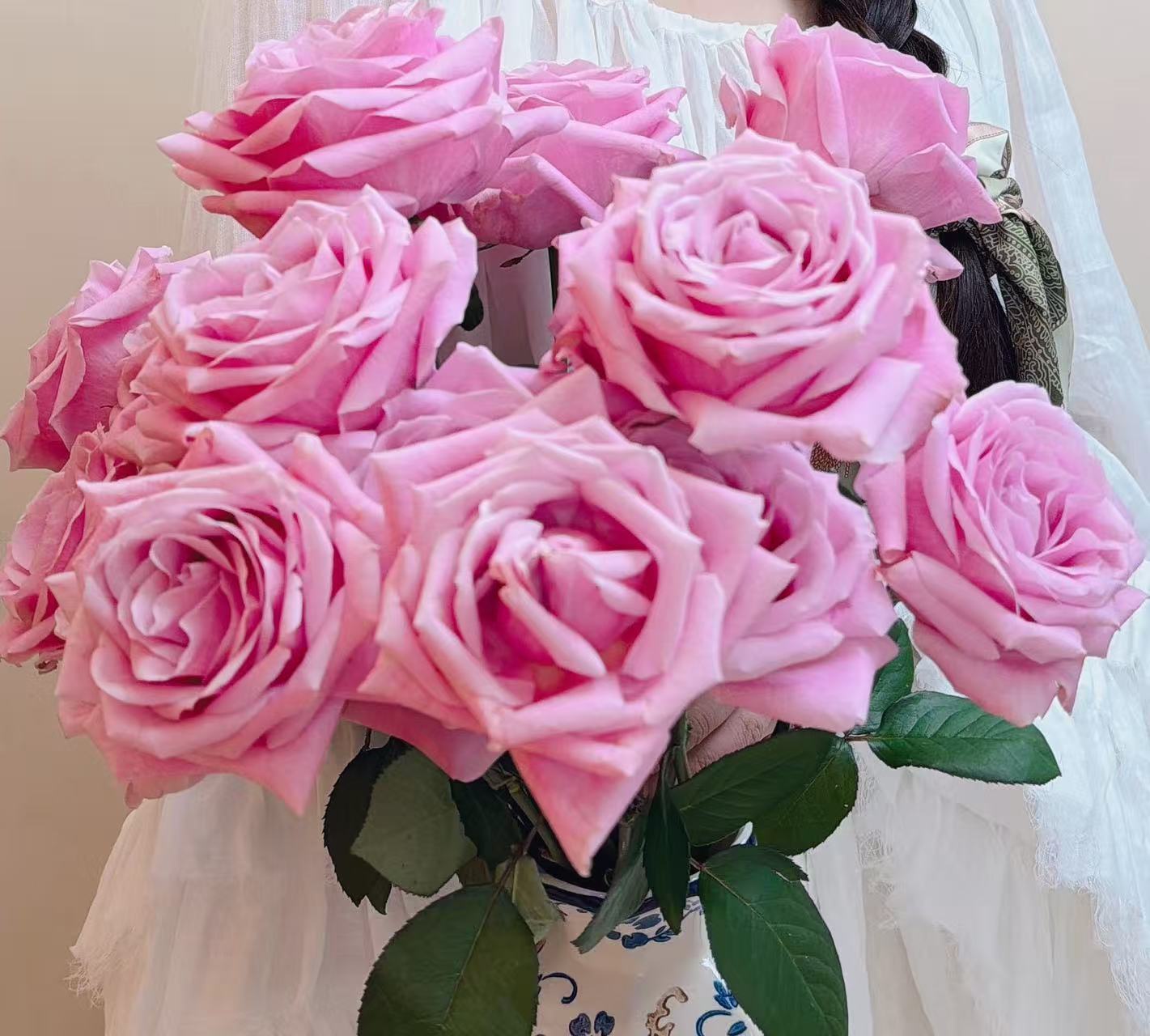 Sweet Avalanche Rose