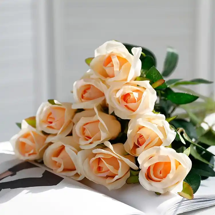 Peach Avalanche Rose