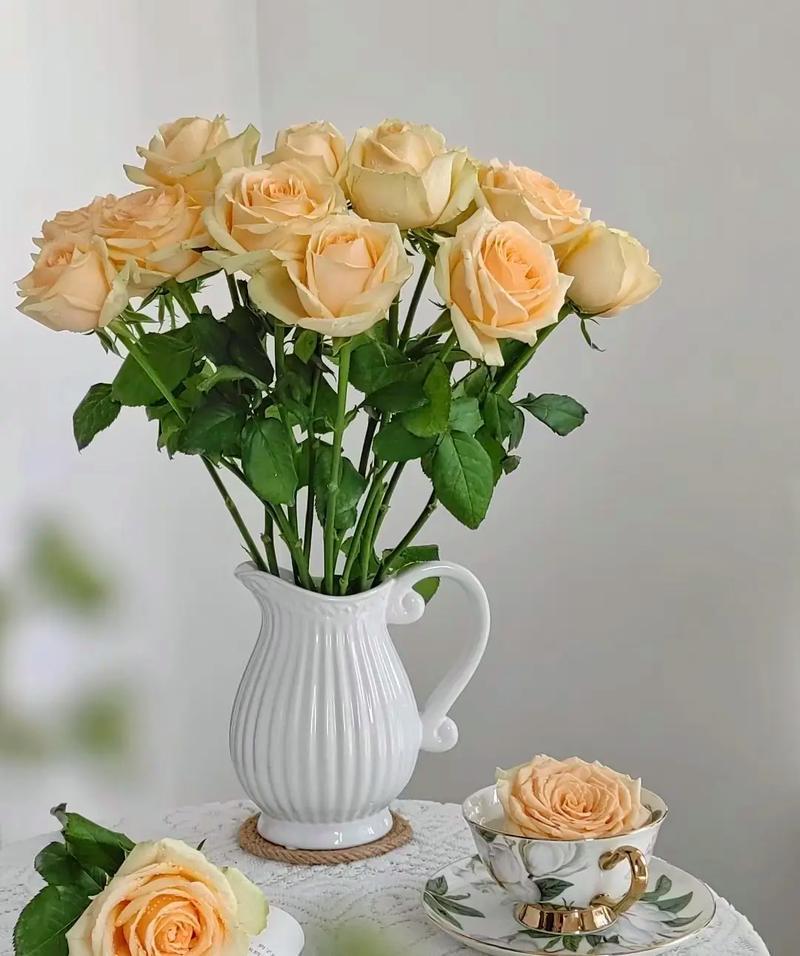 Peach Avalanche Rose