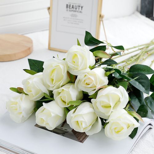 White Avalanche Rose