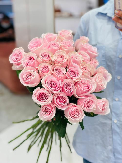 Pink Avalanche Rose