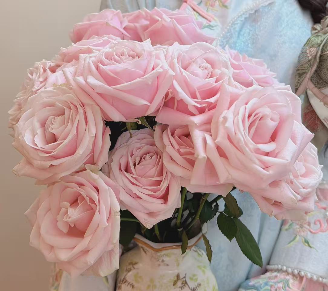 Pink Avalanche Rose