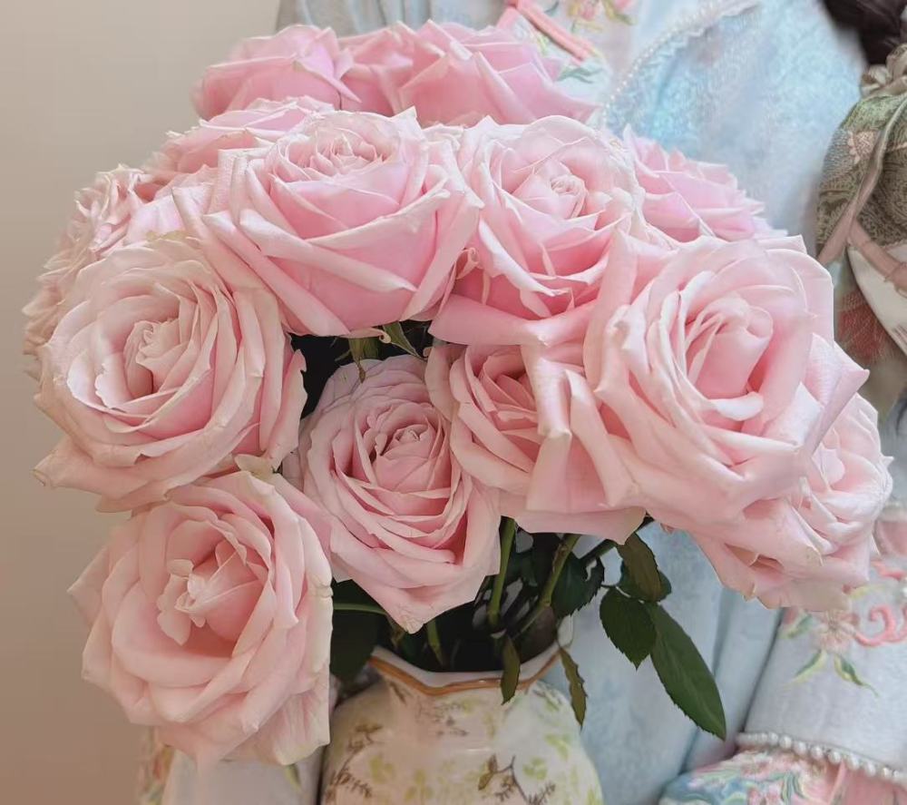 Pink Avalanche Rose