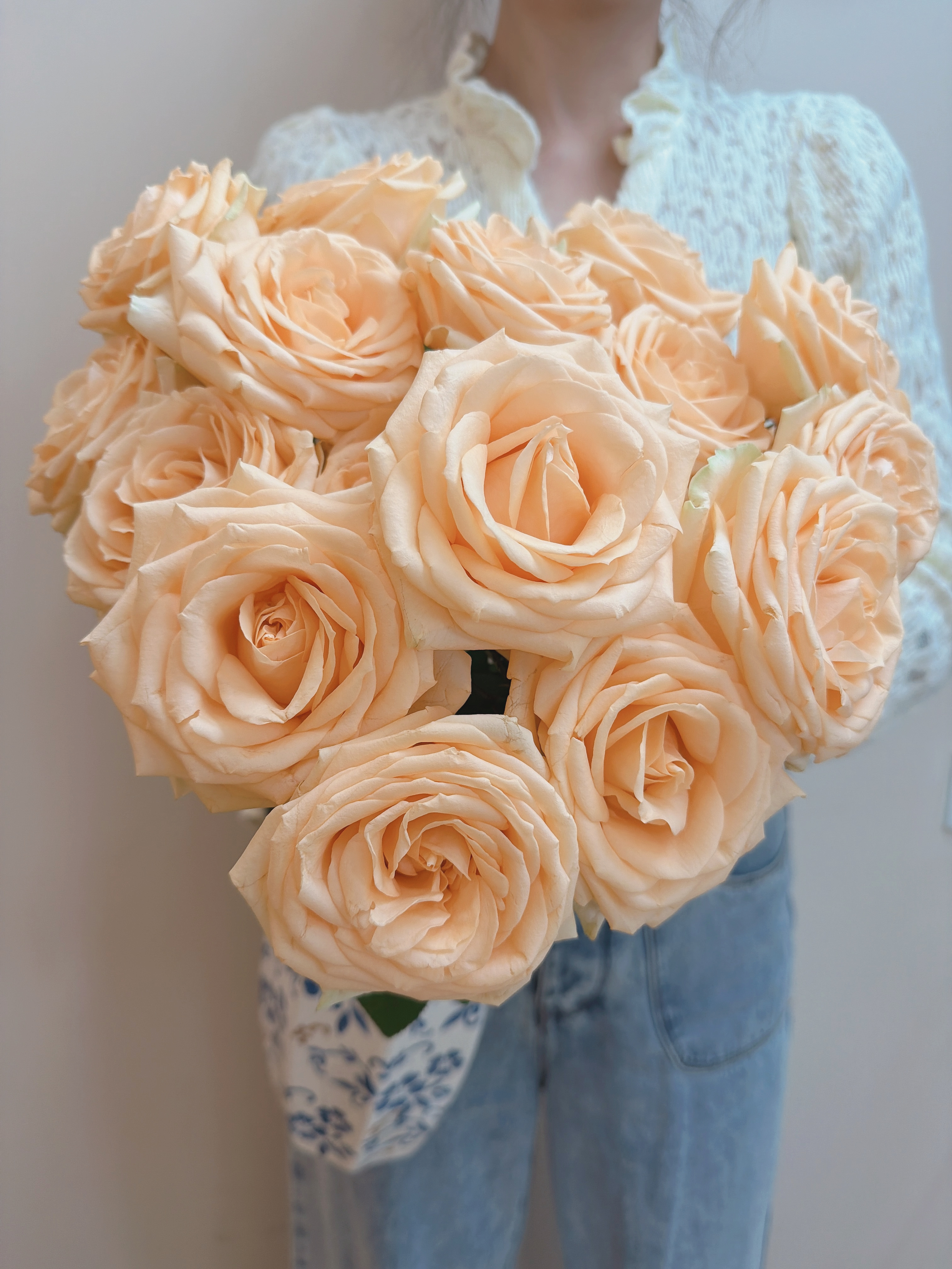 Peach Avalanche Rose