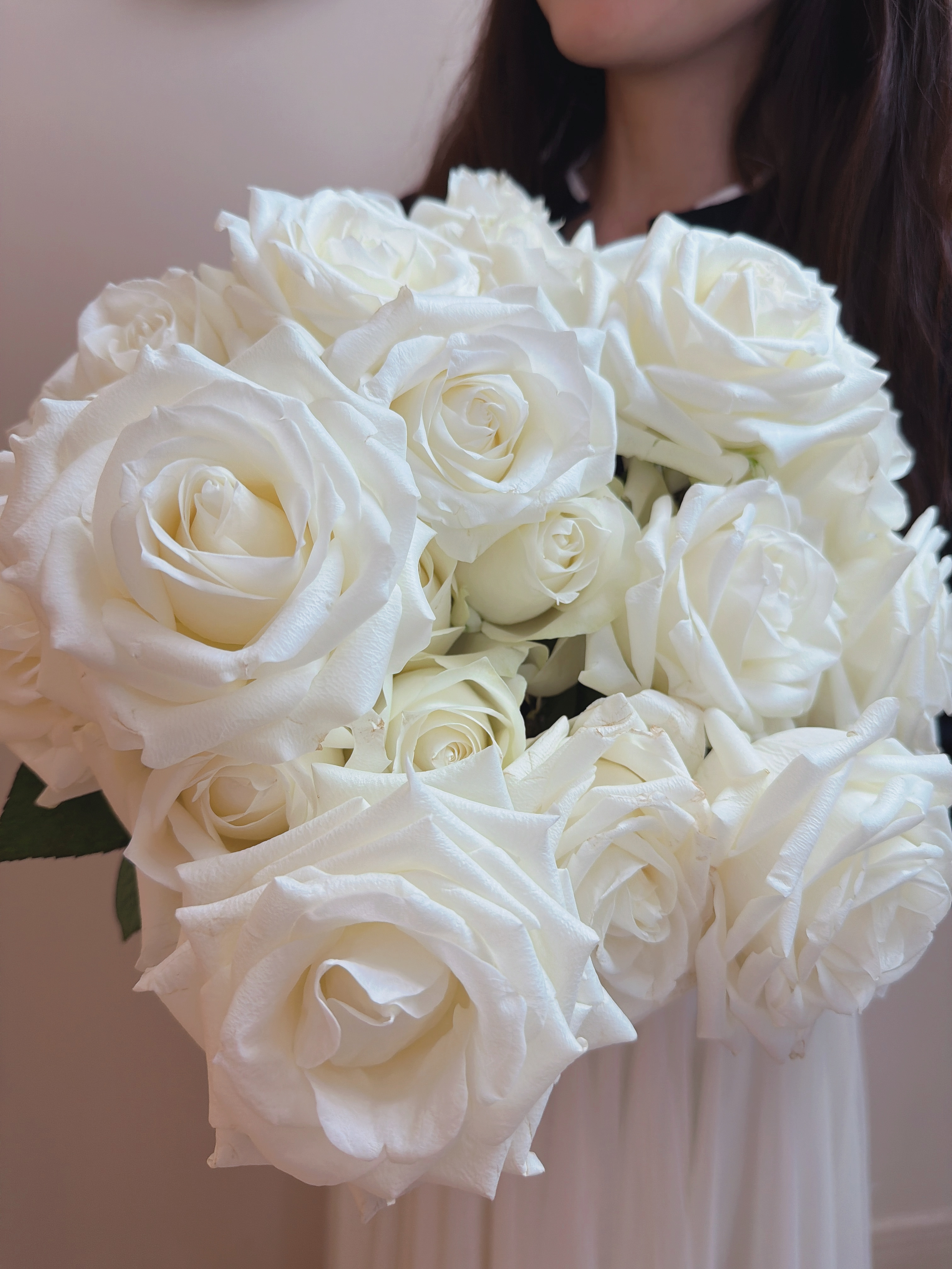 White Avalanche Rose