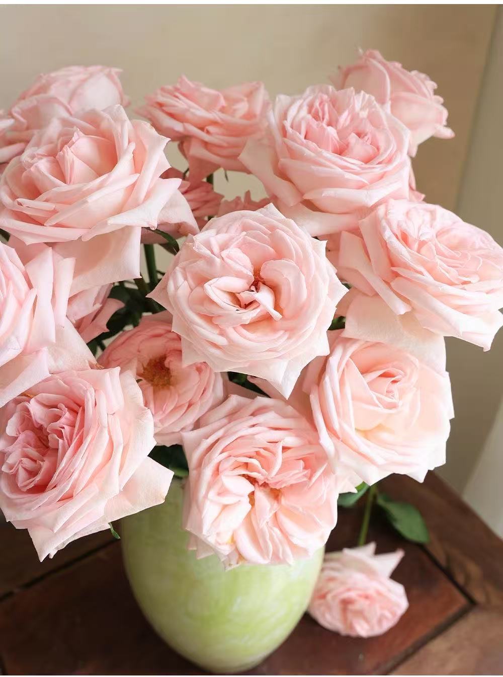 Pink O'Hara