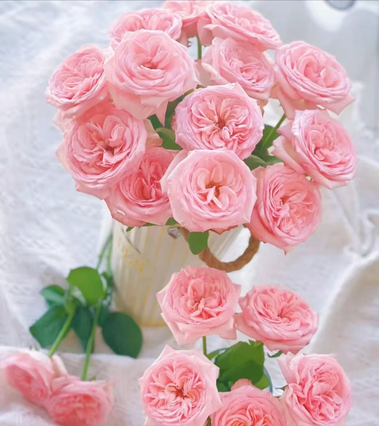 Pink O'Hara