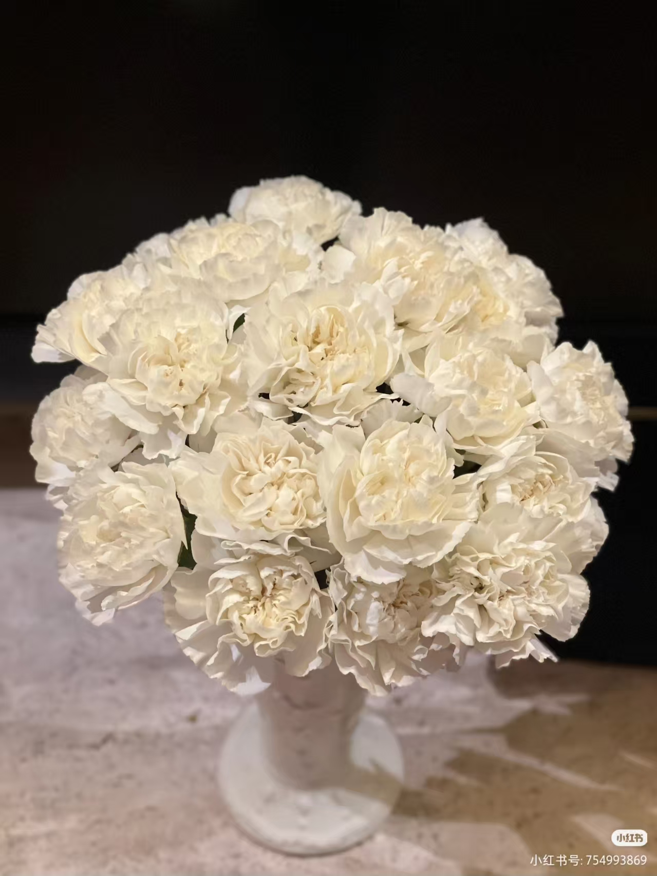 white carnation