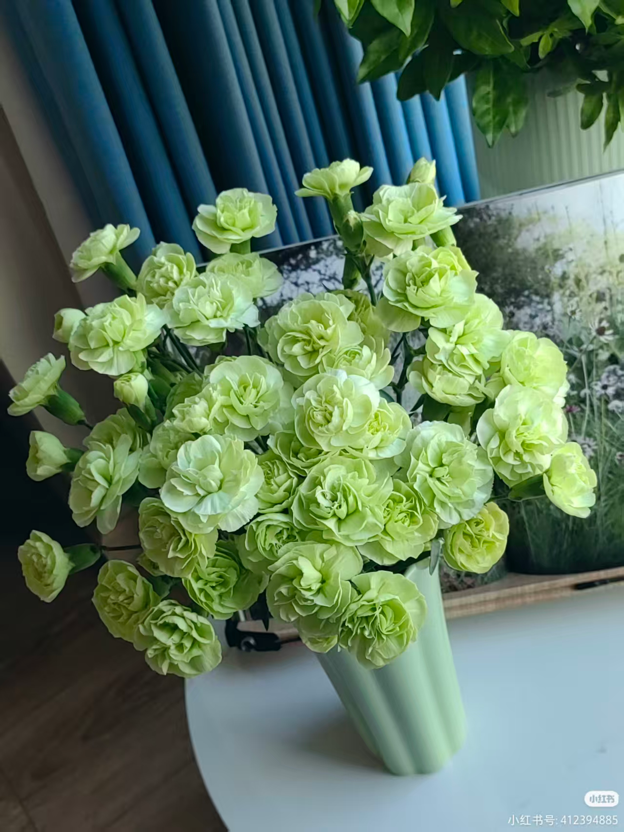 Green Carnation